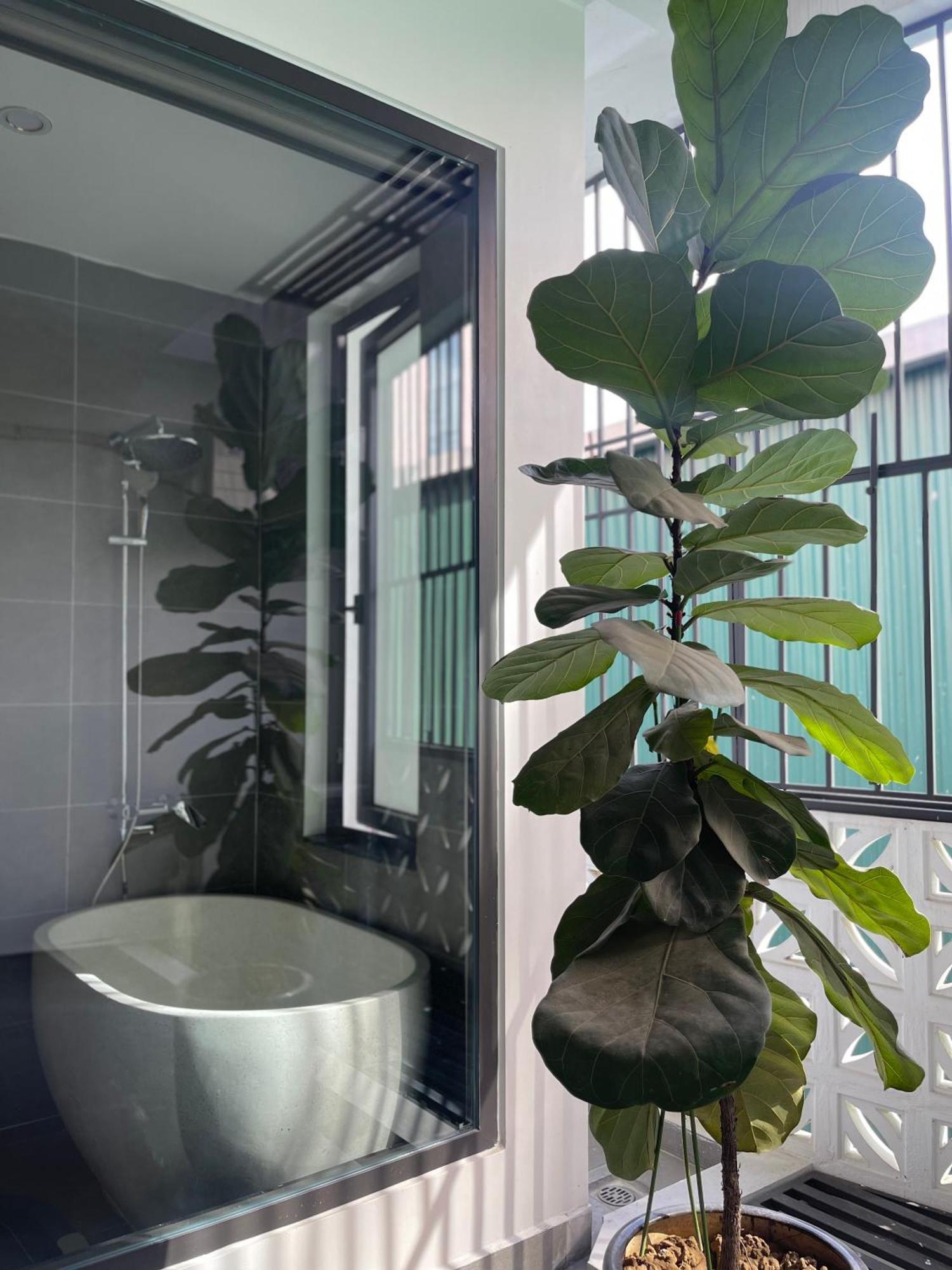 Alala Homestay- Tuyen Quang City Center- Trung Tam Thanh Pho Tuyen Quang المظهر الخارجي الصورة